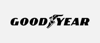 Imagen del fabricante Goodyear